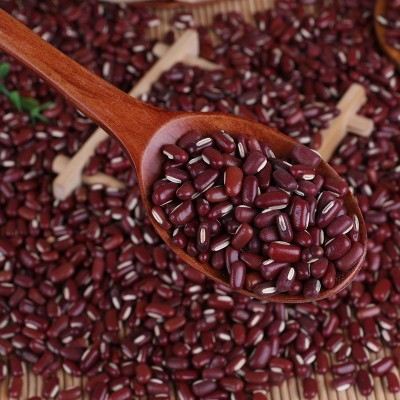 现货批发精选赤小豆50斤装粗粮颗粒饱满五谷杂粮长粒红豆高蛋白 1件图2