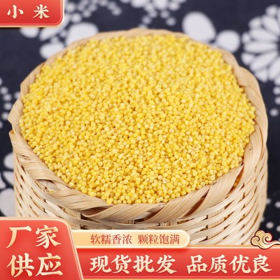 现货批发黄小米敖汉河北张杂任选新量大从优50斤杂粮优选 1件图3