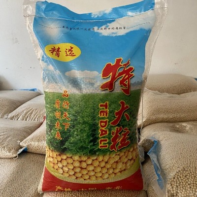 现货批发黄豆东北黄豆50斤大颗粒80斤普通通货磨豆浆豆高蛋白新豆 1件图2