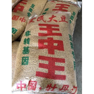 现货批发黄豆东北黄豆50斤大颗粒80斤普通通货磨豆浆豆高蛋白新豆 1件图4