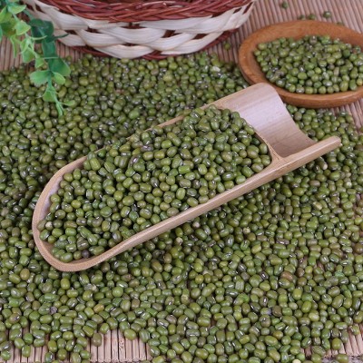 批发绿豆明绿豆沙绿豆汤农家小粒毛毛杂国产澳洲芽豆东北 1件图2