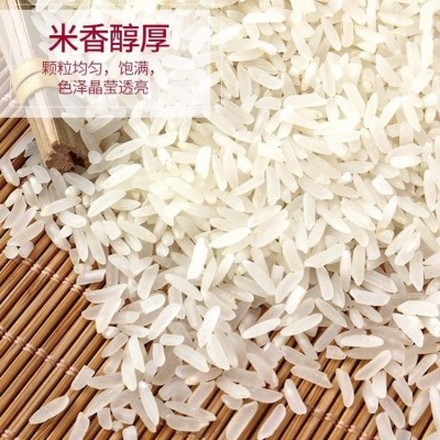 西达康 石台玉针香富硒长粒大米丝苗高硒香米 厂家直批10斤装 2装图2