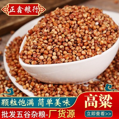东红高粱酿酒酿醋梗高粱五谷杂粮批发带皮高粱未脱皮高粱袋装