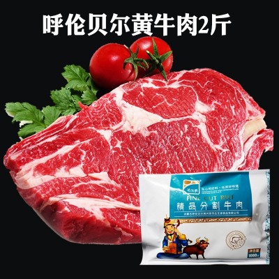 达生源内蒙古现杀原切鲜牛肉生牛肉商用散养黄牛肉整箱火锅食材 4斤