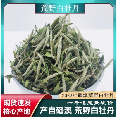 2023年磻溪荒野花香白牡丹 福鼎白茶高山一芽一叶牡丹王散装批发 1斤