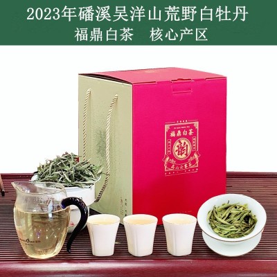 福鼎白茶2023年磻溪荒野白牡丹 原产地吴洋山花香牡丹优惠价批发 1斤图2