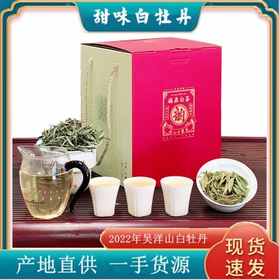 福鼎白茶2023年磻溪荒野白牡丹 原产地吴洋山花香牡丹优惠价批发 1斤