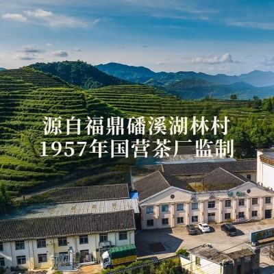 广福心道白茶高山老白茶醇福2018年春采寿眉散茶茶叶100g 1桶图4