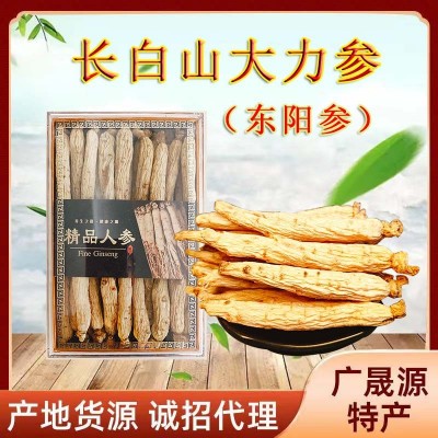 厂家批发长白山大力参6年根东阳参250克盒装人参滋补品代发东阳参图2