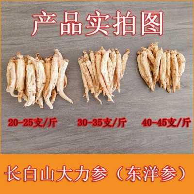 厂家批发长白山大力参6年根东阳参250克盒装人参滋补品代发东阳参图3