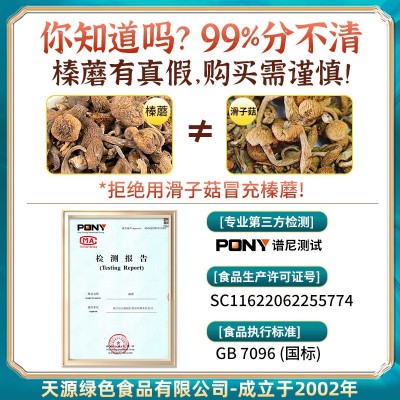 新货长白山特产级野生榛蘑东北小鸡炖蘑菇丁干货无根去根500g图2