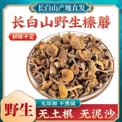 新货长白山特产级野生榛蘑东北小鸡炖蘑菇丁干货无根去根500g