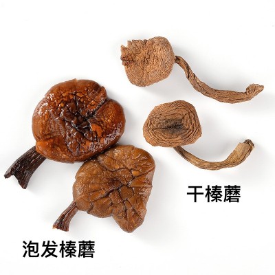 长白山蘑菇特产榛蘑干食用菌无根（榛蘑片） 一件代发图4