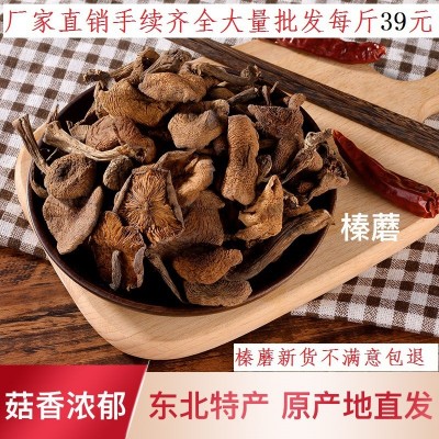 长白山蘑菇特产榛蘑干食用菌无根（榛蘑片） 一件代发图2