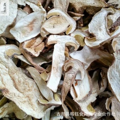 鑫榕钰 酒店食材白牛肝 牛肝菌干片 火锅美味菌牛肝菌厂家直供 1件