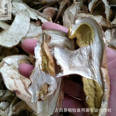 鑫榕钰 酒店食材白牛肝 牛肝菌干片 火锅美味菌牛肝菌厂家直供 1件图2