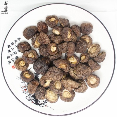 鑫榕钰 金钱菇香菇台湾品种干货批发剪脚根短肉厚厚菇冬菇500克 1件