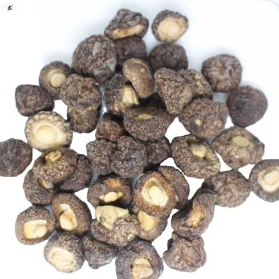 鑫榕钰 金钱菇香菇台湾品种干货批发剪脚根短肉厚厚菇冬菇500克 1件图5