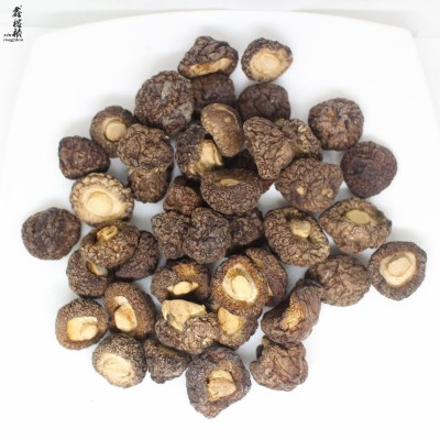 鑫榕钰 金钱菇香菇台湾品种干货批发剪脚根短肉厚厚菇冬菇500克 1件图4