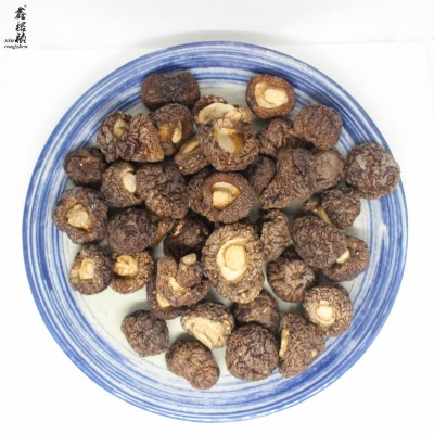 鑫榕钰 金钱菇香菇台湾品种干货批发剪脚根短肉厚厚菇冬菇500克 1件图3