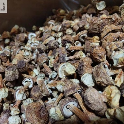 鑫榕钰古田姬松茸干货松茸蘑菇菌菇汤料500g厂家批发量大从优 1件图3