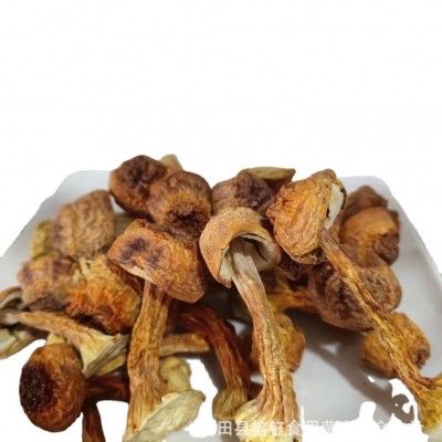 鑫榕钰古田姬松茸干货松茸蘑菇菌菇汤料500g厂家批发量大从优 1件图5