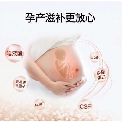 马来印尼溯源码燕窝燕盏干挑鲜炖滋补品孕妇燕窝礼盒批发代发 1件图2