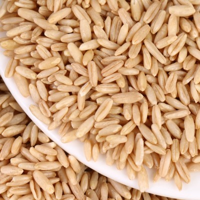 新货燕麦米袋装直售五谷杂粮粗粮源头工厂裸燕麦仁全胚芽米批发图3