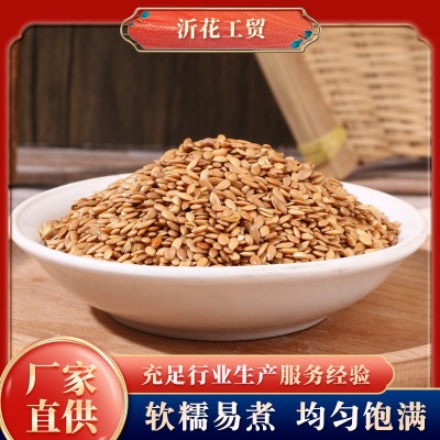 新货黄金亚麻籽批发食用榨油原材料厂家大量直供