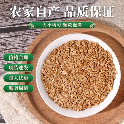 新货黄金亚麻籽批发食用榨油原材料厂家大量直供图3
