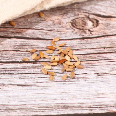 新货黄金亚麻籽批发食用榨油原材料厂家大量直供图4