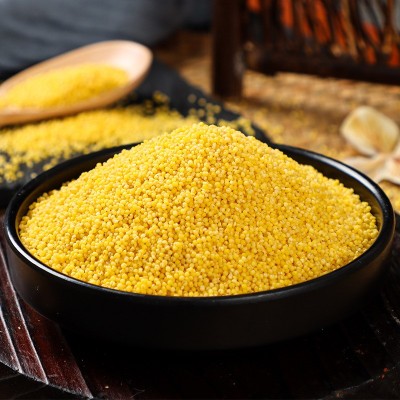 2025新米东北朝阳有机黄小米袋装400g月子米小黄米五谷杂粮小米图3