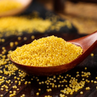 2025新米东北朝阳有机黄小米袋装400g月子米小黄米五谷杂粮小米图2