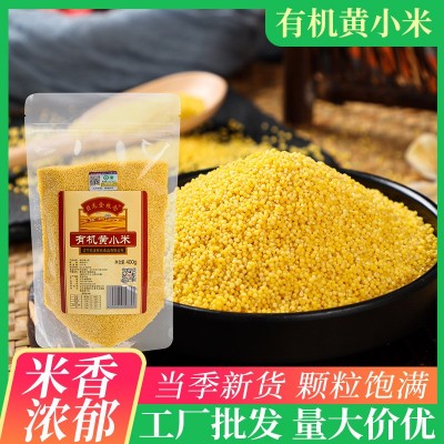 2025新米东北朝阳有机黄小米袋装400g月子米小黄米五谷杂粮小米