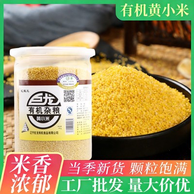 25年朝阳当季新米有机黄小米罐装400克东北五谷杂粮粗粮厂家批发