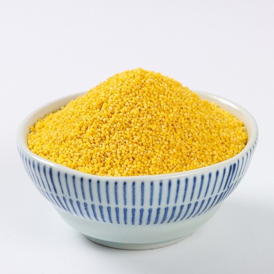 25年朝阳当季新米有机黄小米罐装400克东北五谷杂粮粗粮厂家批发图5