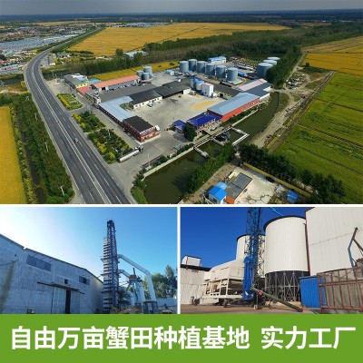 东北特产盘锦蟹田大米锦稻香新米真空袋装5kg厂家批发10斤代发图3