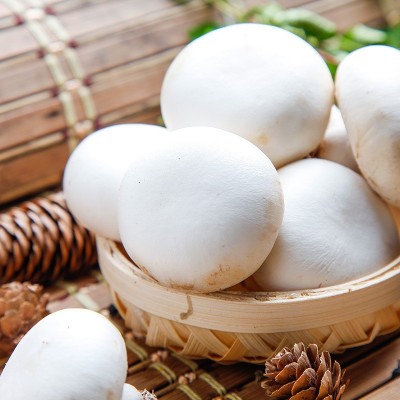 鲜吉多蘑菇精餐饮厨房烹饪调味品炒菜增鲜调料200克*40袋批发图3