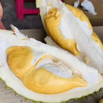 热带新鲜水果金枕头榴莲猫山王甲仑巴掌金枕高糖度开果图3