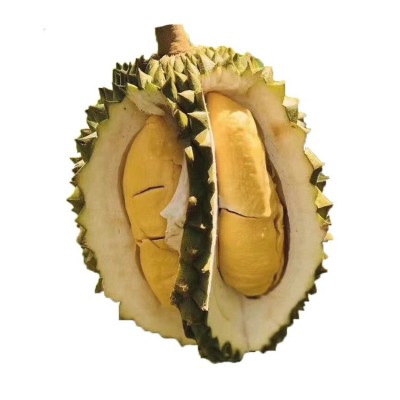 热带新鲜水果金枕头榴莲猫山王甲仑巴掌金枕高糖度开果图5