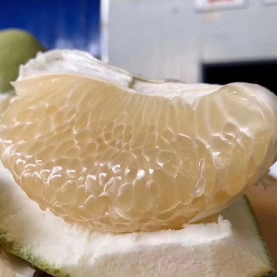 热带水果汁多味甜蜜柚青皮白心柚子柚青柚安帕瓦蜜柚现摘直发超甜图3