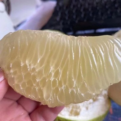 热带水果汁多味甜蜜柚青皮白心柚子柚青柚安帕瓦蜜柚现摘直发超甜