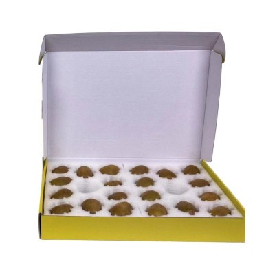 全年供应黄猕猴桃生鲜水果新鲜应季奇异果黄心猕猴桃礼盒水果礼盒图5