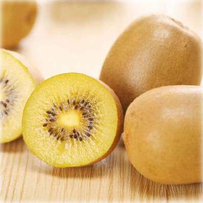 全年供应黄猕猴桃生鲜水果新鲜应季奇异果黄心猕猴桃礼盒水果礼盒