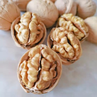 批发新疆185纸皮核桃肉饱满手捏即开手剥 185核桃 新疆薄皮核桃图2