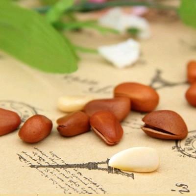 一件代发大颗粒东北开口红松子含罐500g休闲零食坚果特产炒货批发图2