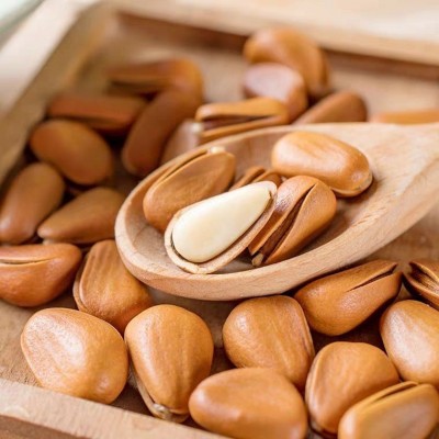 一件代发大颗粒东北开口红松子含罐500g休闲零食坚果特产炒货批发图4