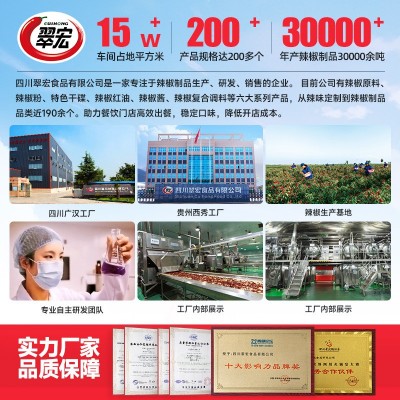 翠宏烧烤撒料2.5kgX8袋香辣味五香味烧烤野餐炸串商用整箱批发图4