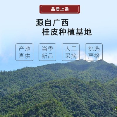 源头桂皮干货特级泡酒咖啡烟仔桂卤肉香料火锅料调味品扩香装饰品图2