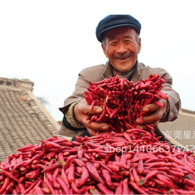 湖南特产超辣干红辣椒段辣椒碎商用家用火锅底料炒菜炖菜卤味散装图3
